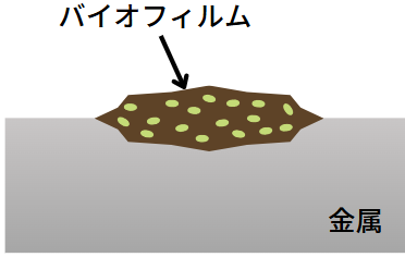 微生物腐食